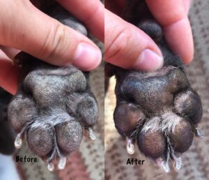 Before and after using Paw cure